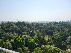 Normanton Park (D5), Apartment #572198041